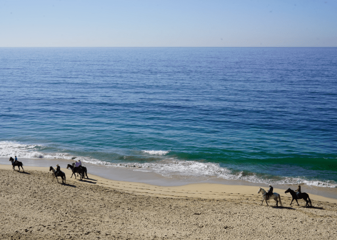 Personas montando a caballo en la costa de formentera